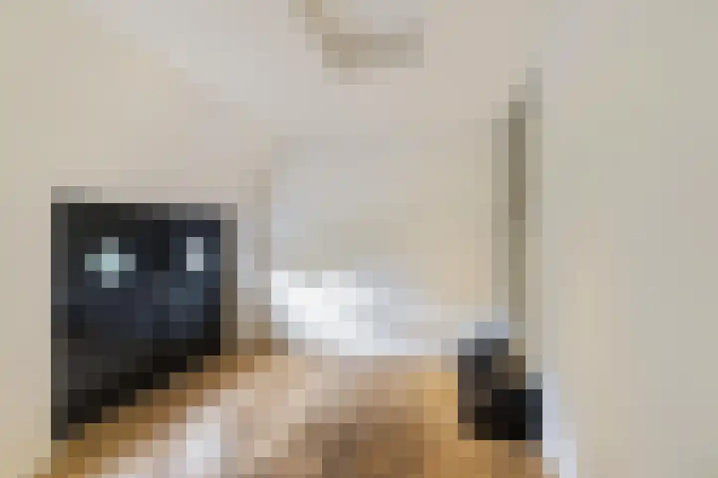 Ossenlaan 2 Leermens thumbnail 32