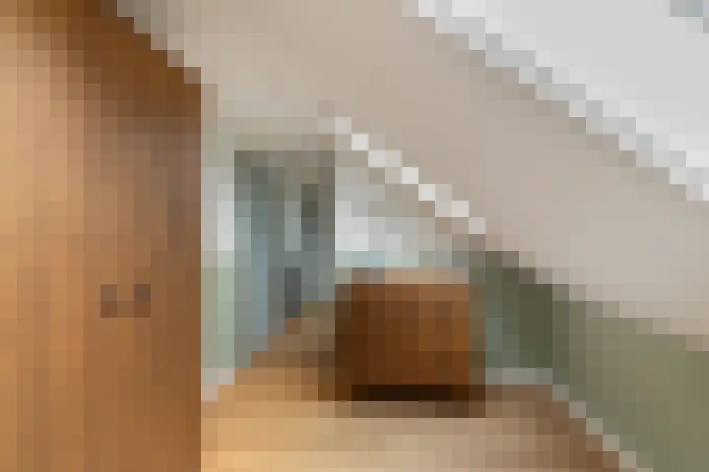 Ossenlaan 2 Leermens thumbnail 41