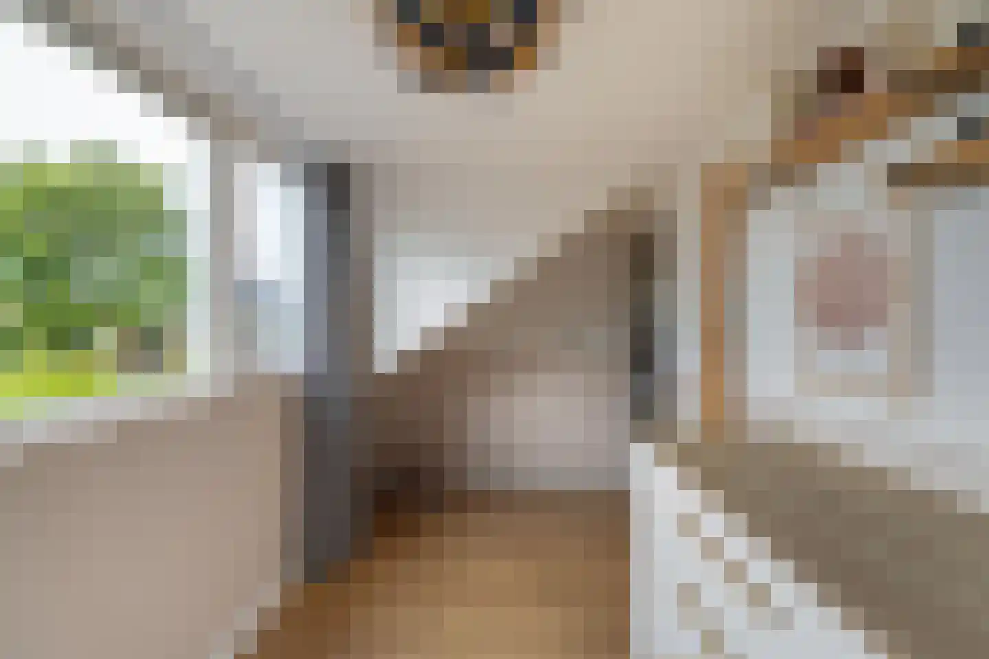 Ossenlaan 2 Leermens thumbnail 44
