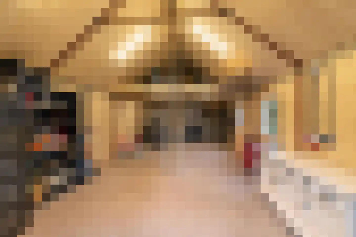 Ossenlaan 2 Leermens thumbnail 54