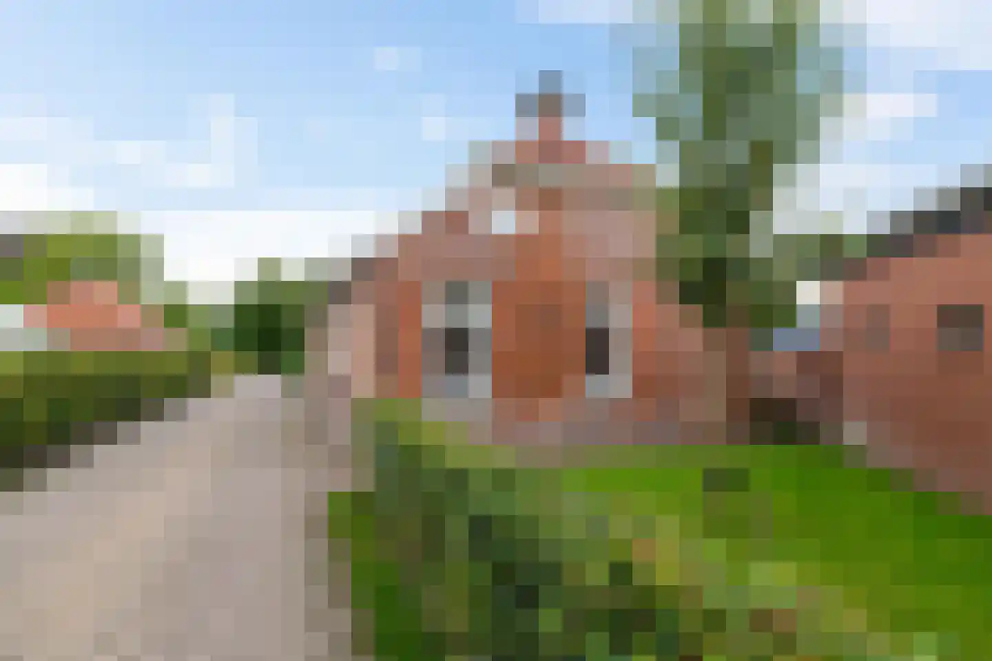 Ossenlaan 2 Leermens thumbnail 7