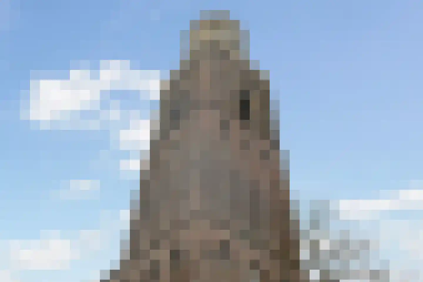 Ossenmarkt 25 A Zwolle thumbnail 21