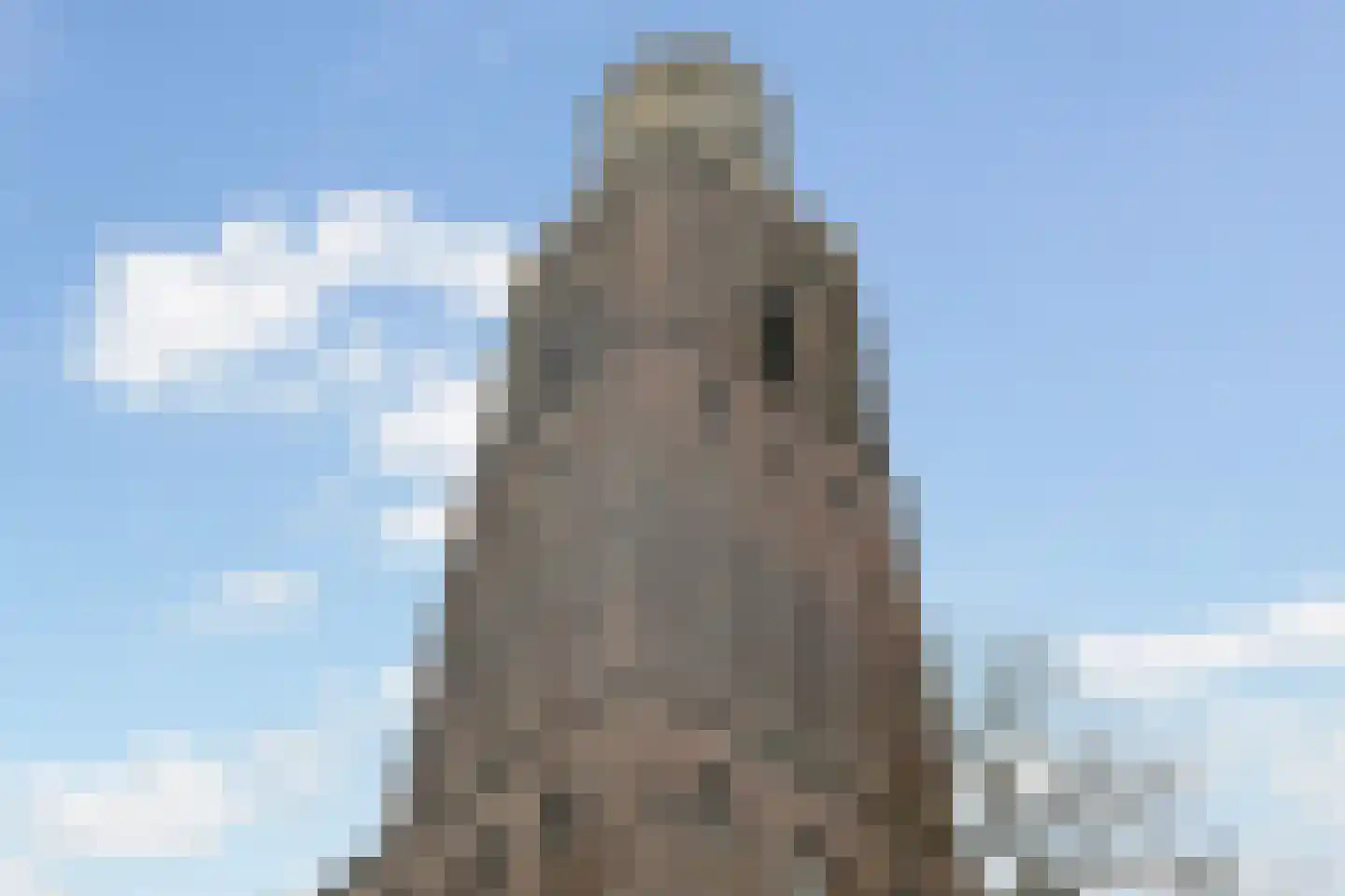 Ossenmarkt 25 A Zwolle thumbnail 21