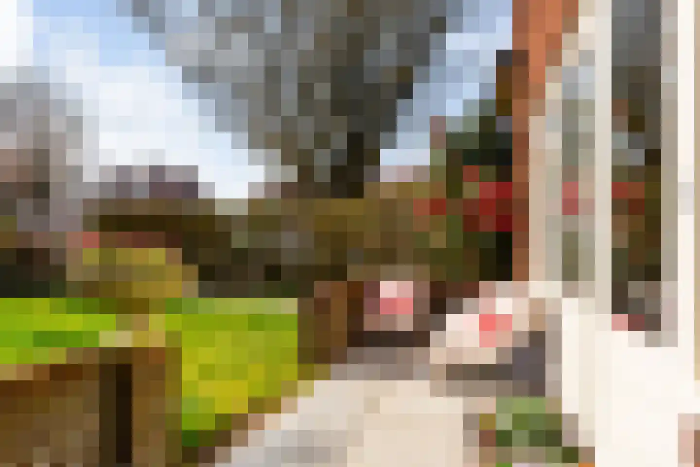 Ossenmarkt 4 a Groningen thumbnail 10