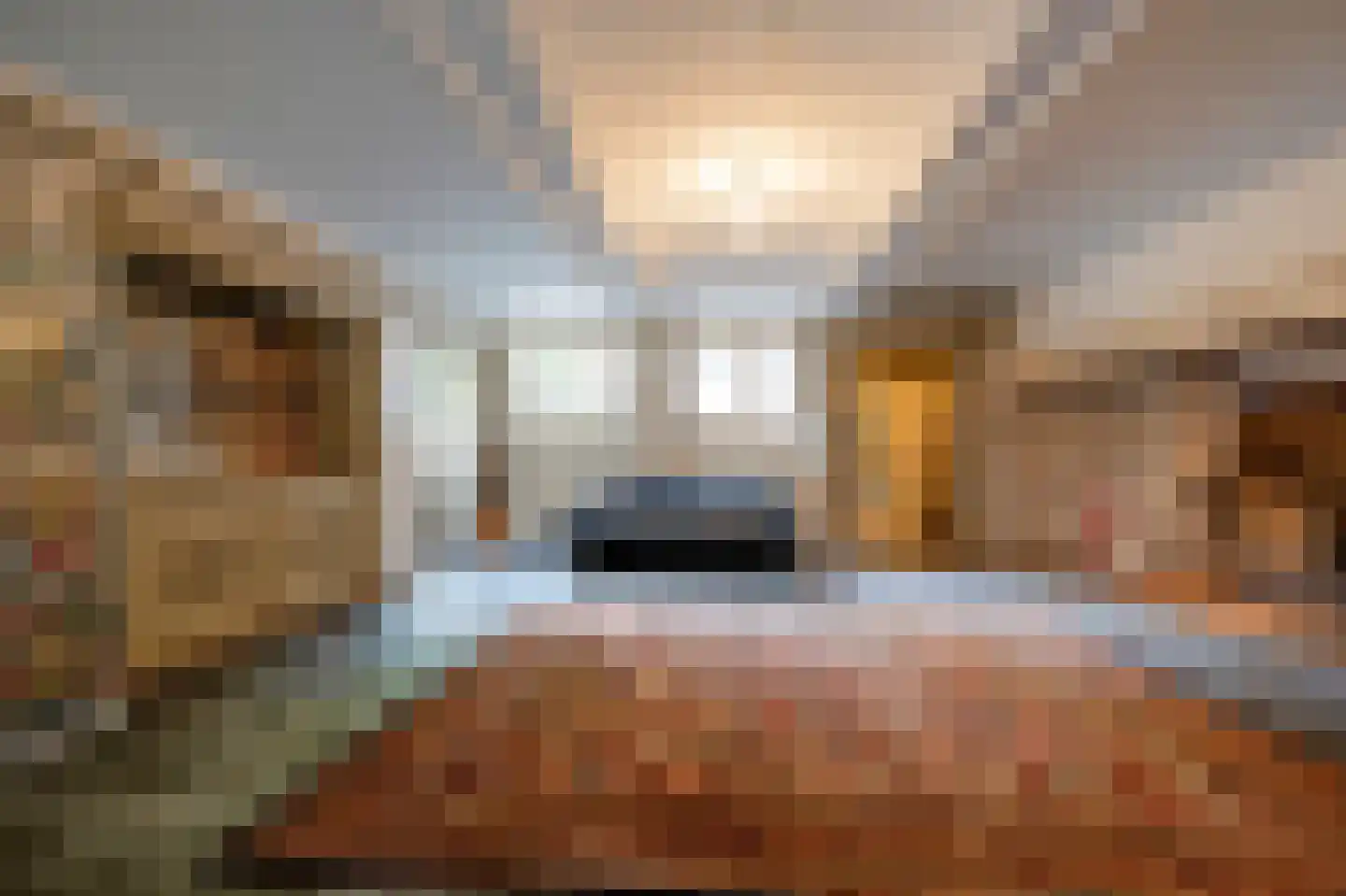 Ossenmarkt 4 a Groningen thumbnail 71