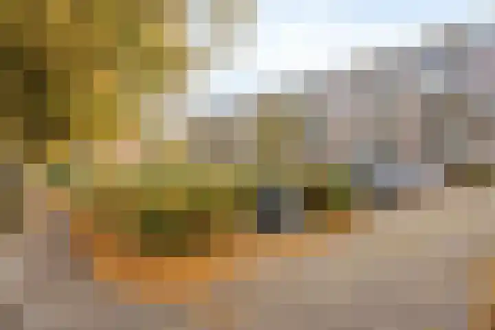 Ossenmarkt 4 a Groningen thumbnail 85