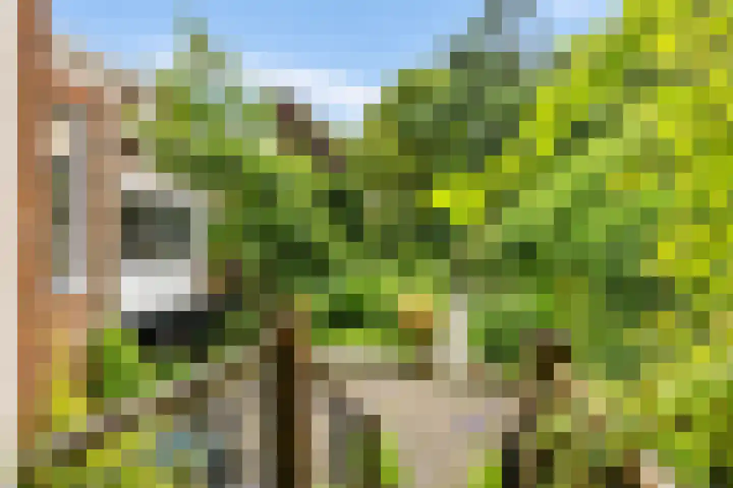 Ossenmarkt 4 Groningen thumbnail 18