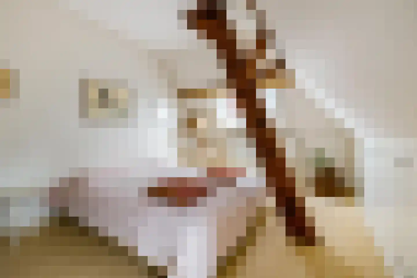 Ossenmarkt 4 Groningen thumbnail 30