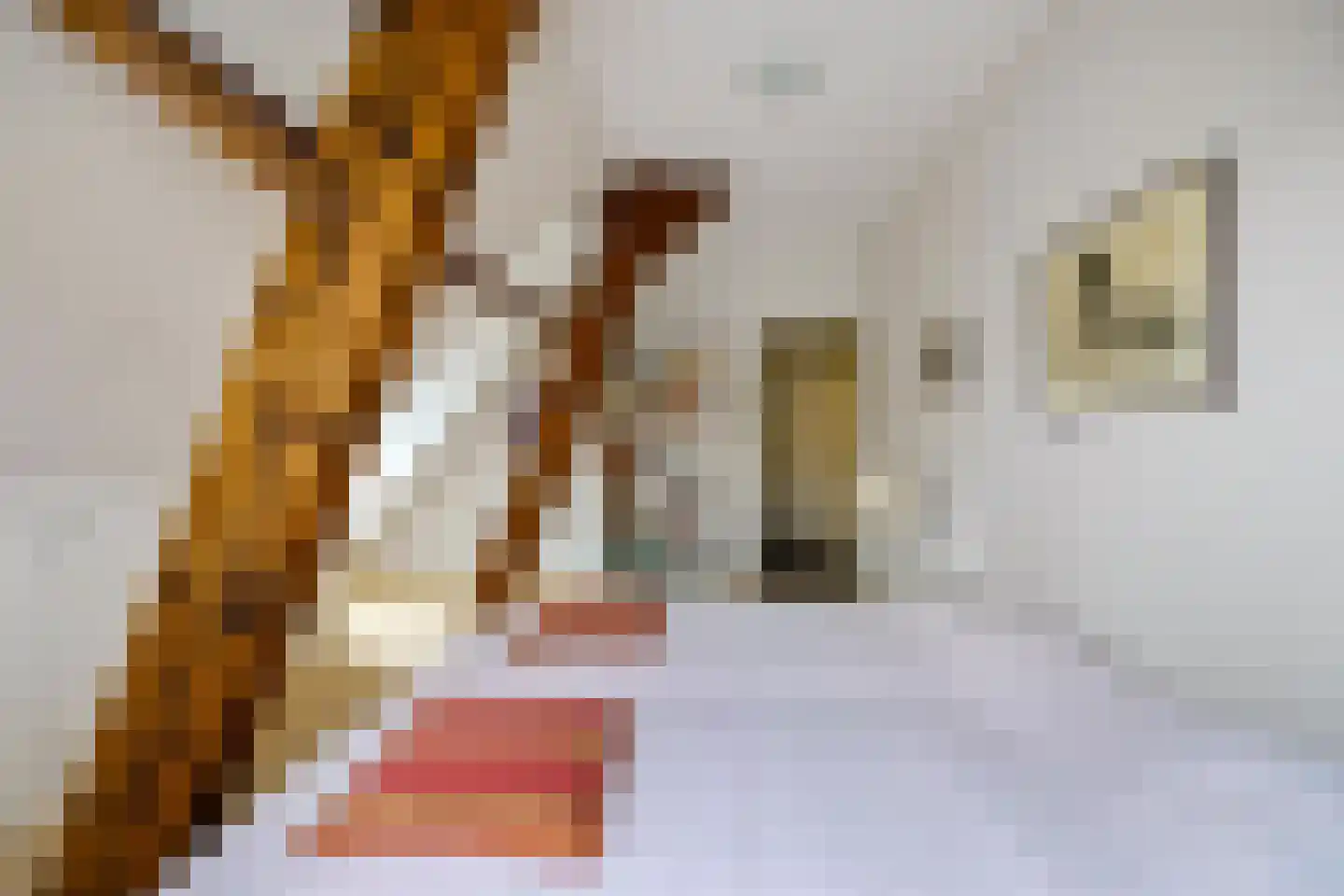 Ossenmarkt 4 Groningen thumbnail 31