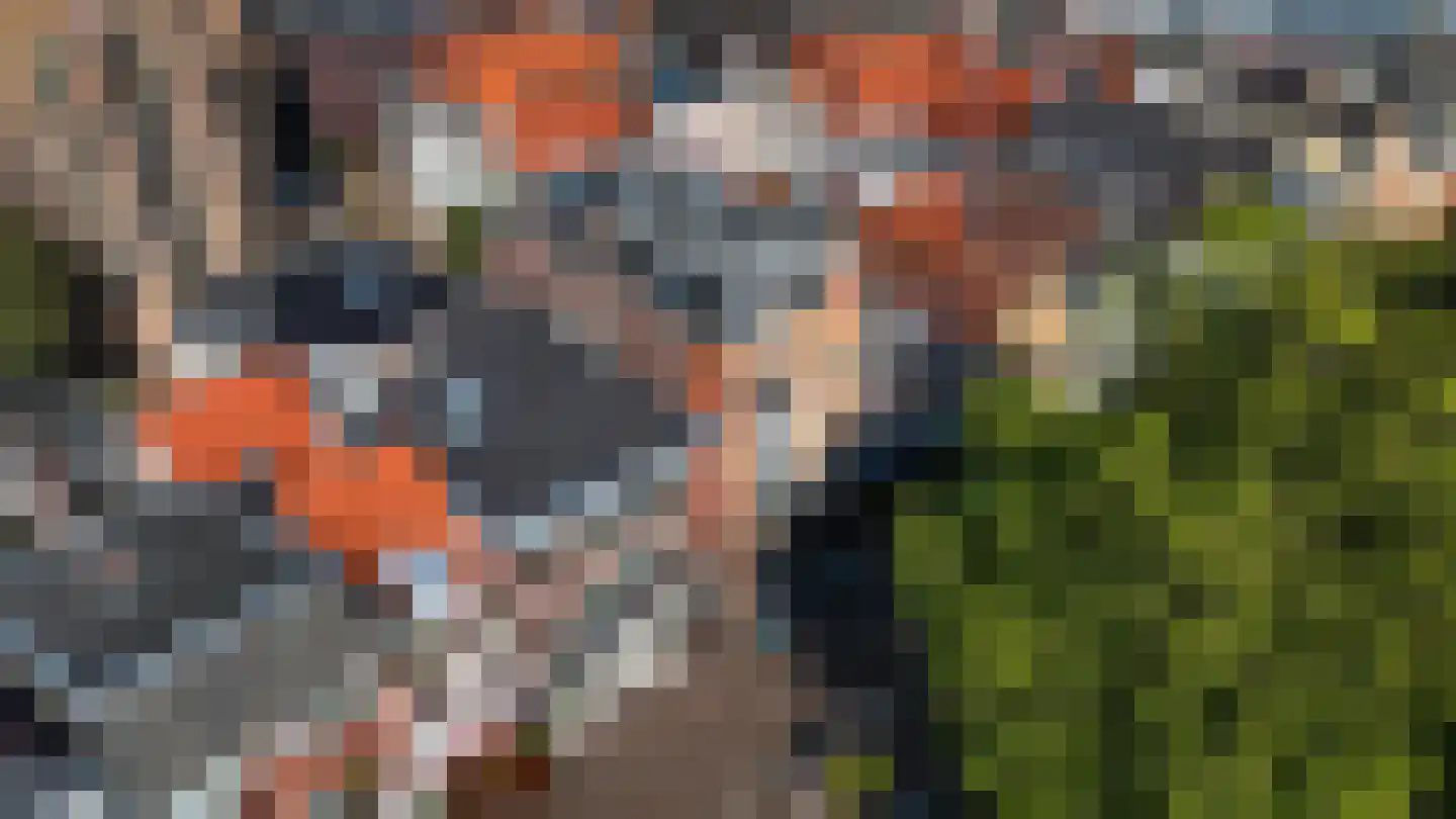 Ossenmarkt 6 A Zwolle thumbnail 60