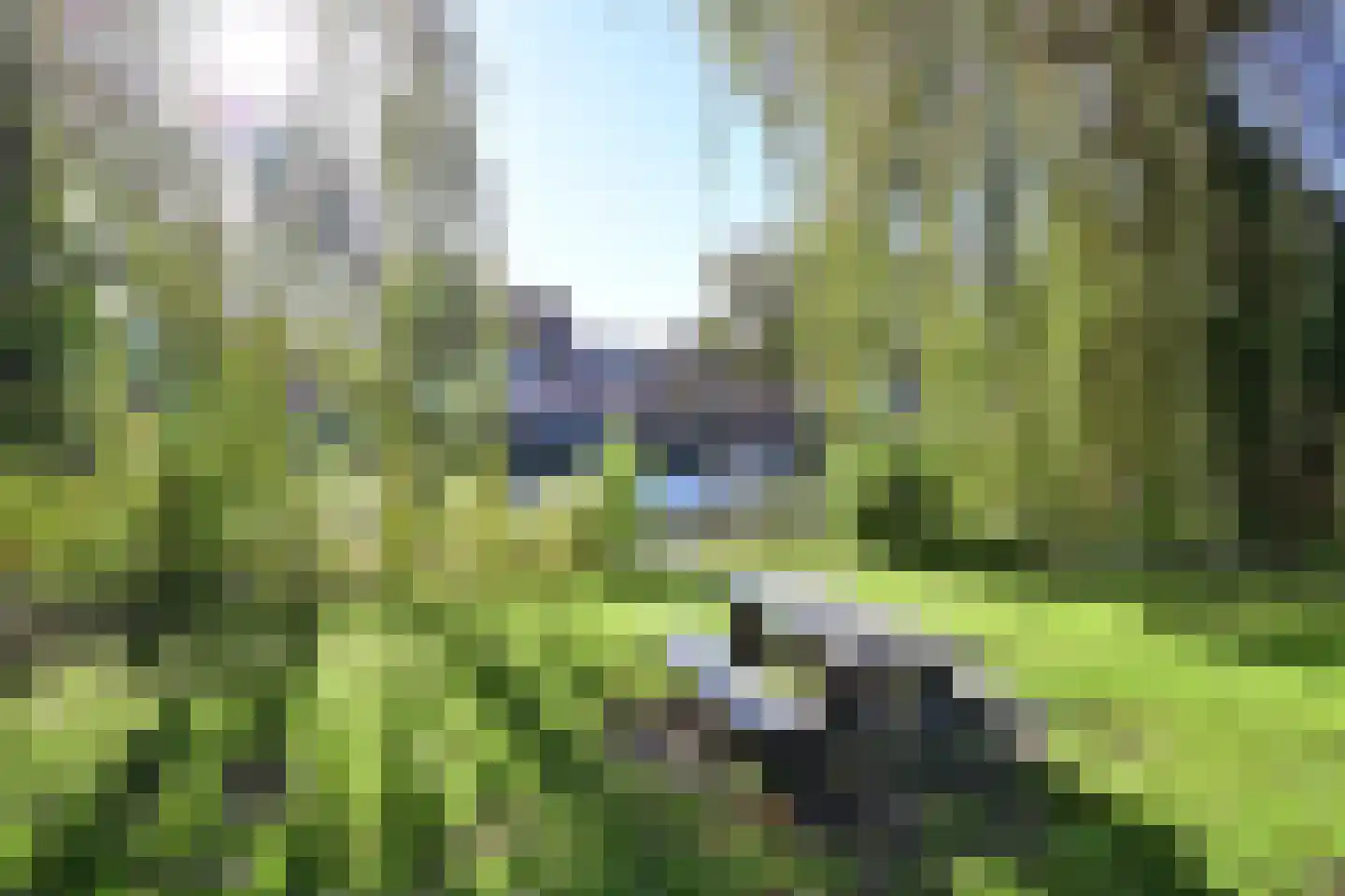 Ossenmarkt 9 a Weesp thumbnail 39