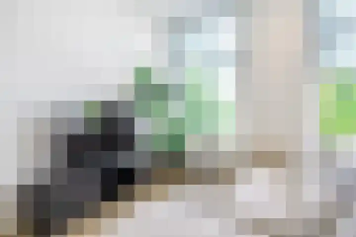 Ossenmarkt 9 Groningen thumbnail 48