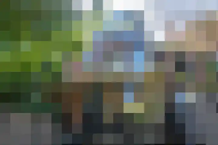 Ossenmarkt 9 Groningen thumbnail 8