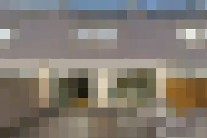 Ossenven 30 Assendelft thumbnail 14