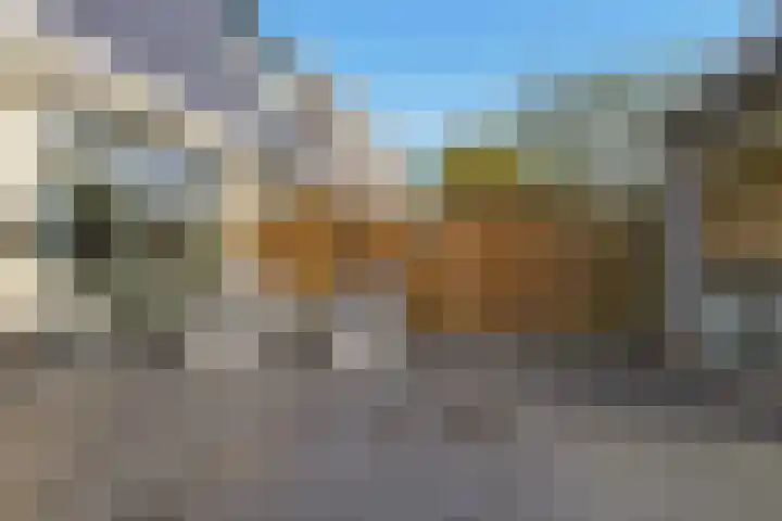 Ossenven 30 Assendelft thumbnail 15