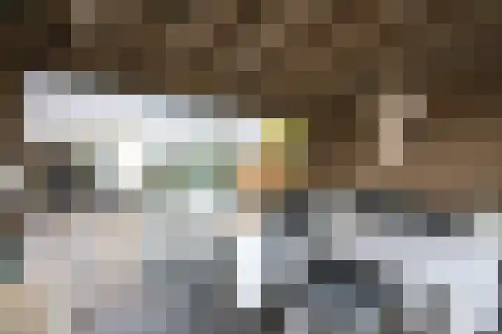 Ossenven 30 Assendelft thumbnail 17