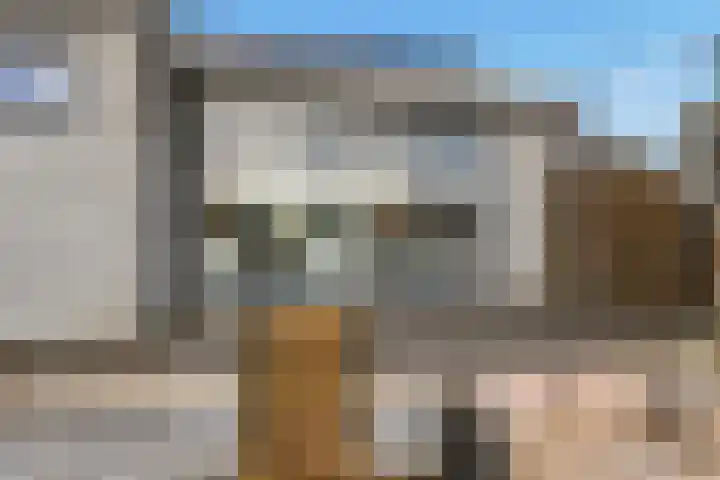Ossenven 30 Assendelft thumbnail 18