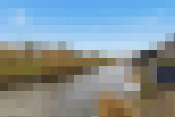 Ossenven 30 Assendelft thumbnail 19