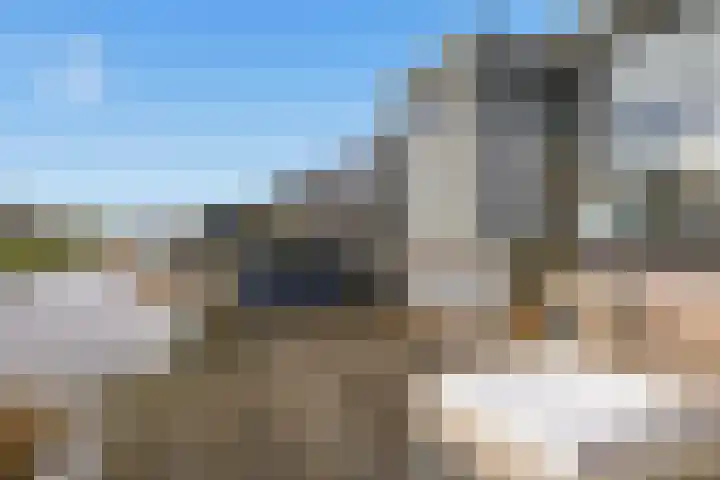 Ossenven 30 Assendelft thumbnail 20