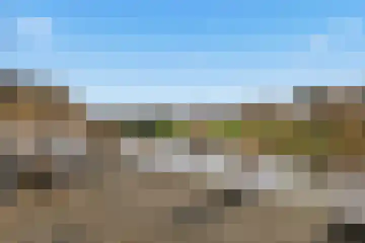 Ossenven 30 Assendelft thumbnail 23