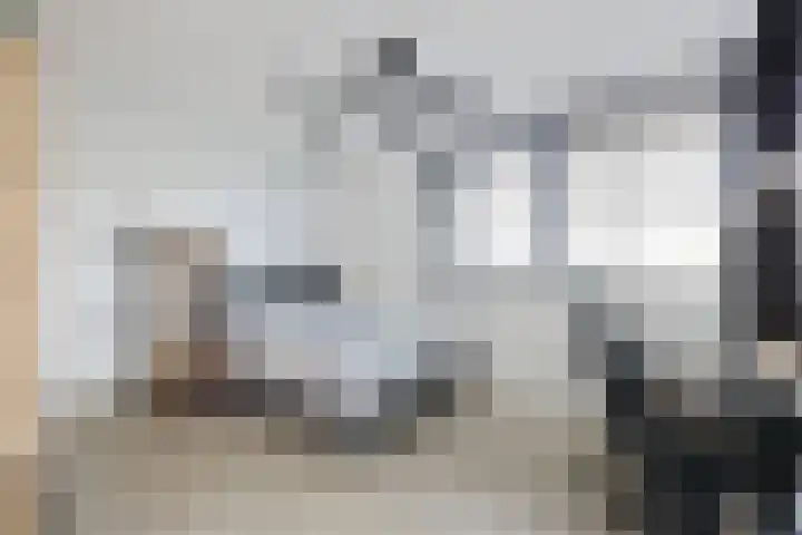 Ossenven 30 Assendelft thumbnail 29