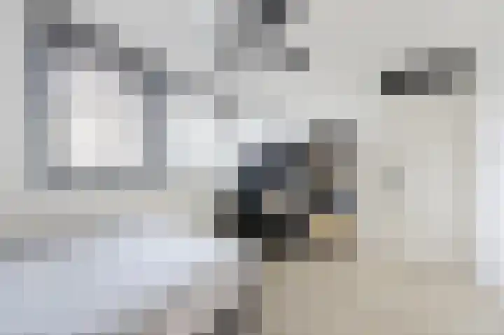 Ossenven 30 Assendelft thumbnail 30