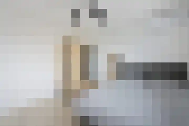 Ossenven 30 Assendelft thumbnail 31
