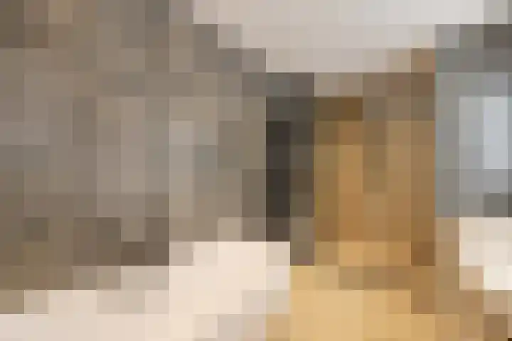 Ossenven 30 Assendelft thumbnail 32