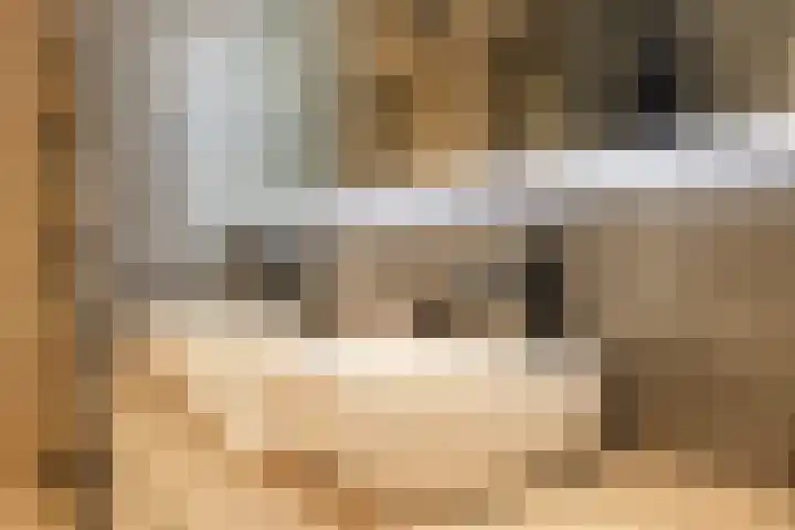 Ossenven 30 Assendelft thumbnail 33