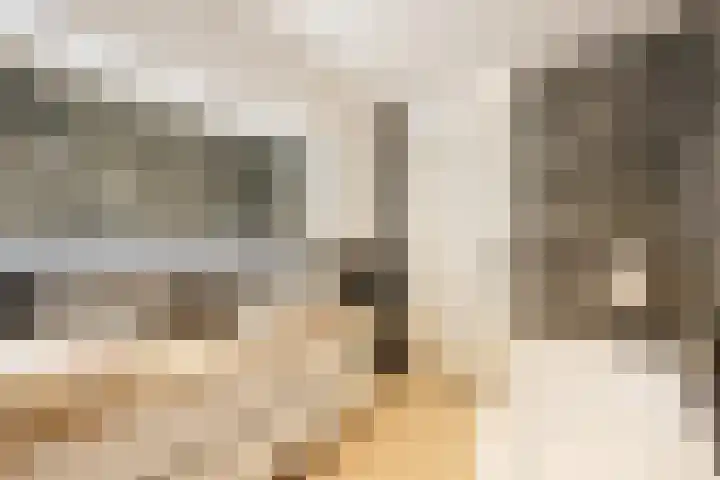 Ossenven 30 Assendelft thumbnail 34