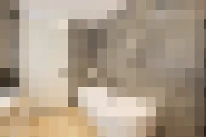 Ossenven 30 Assendelft thumbnail 35
