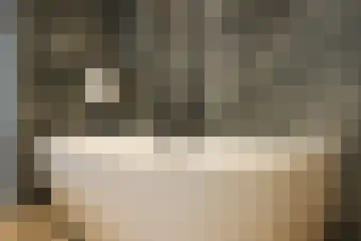 Ossenven 30 Assendelft thumbnail 36