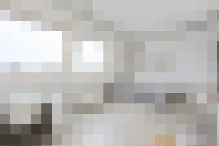Ossenven 30 Assendelft thumbnail 37