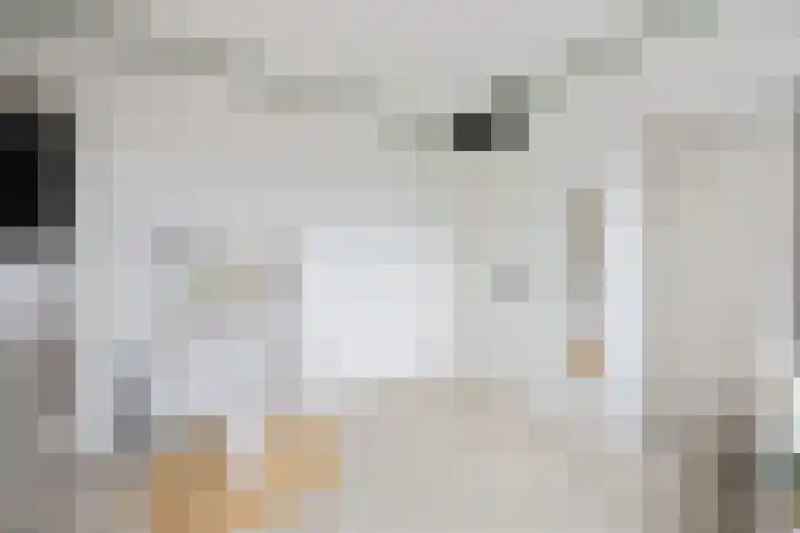 Ossenven 30 Assendelft thumbnail 39