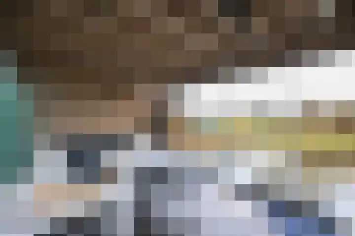 Ossenven 30 Assendelft thumbnail 4