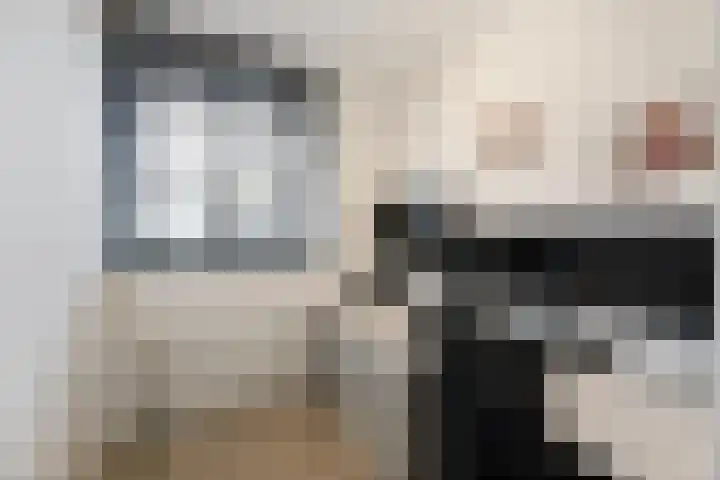 Ossenven 30 Assendelft thumbnail 40