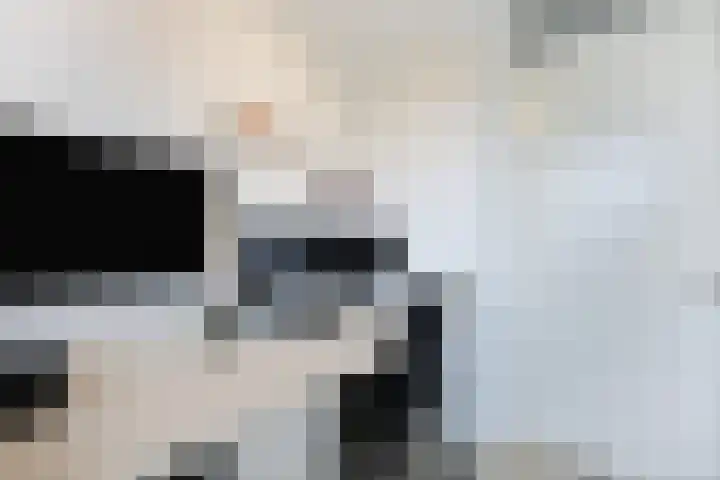 Ossenven 30 Assendelft thumbnail 41