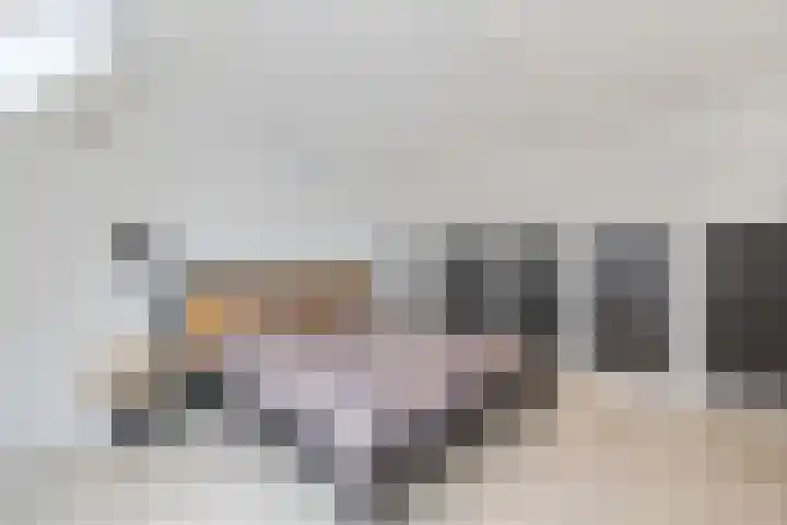 Ossenven 30 Assendelft thumbnail 45