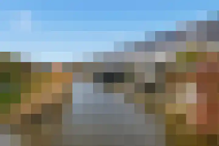 Ossenven 30 Assendelft thumbnail 46