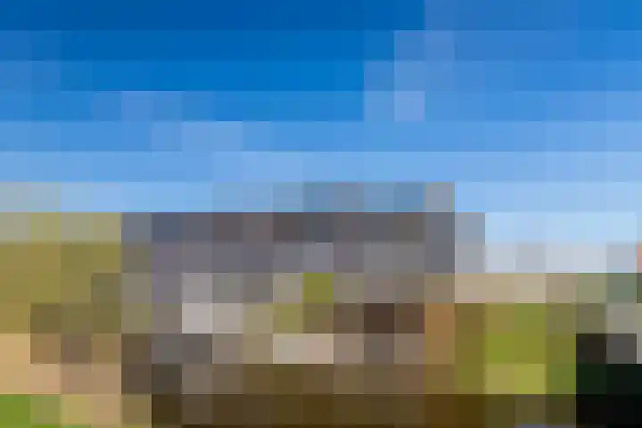 Ossenven 30 Assendelft thumbnail 47