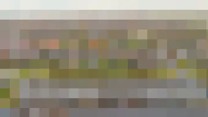 Ossenven 30 Assendelft thumbnail 48