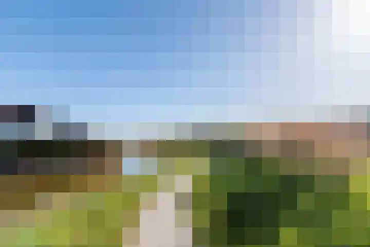 Ossenven 30 Assendelft thumbnail 49