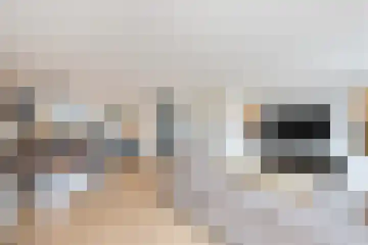 Ossenven 30 Assendelft thumbnail 5