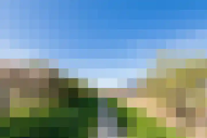 Ossenven 30 Assendelft thumbnail 50