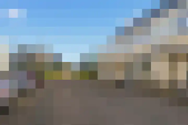 Ossenven 30 Assendelft thumbnail 52