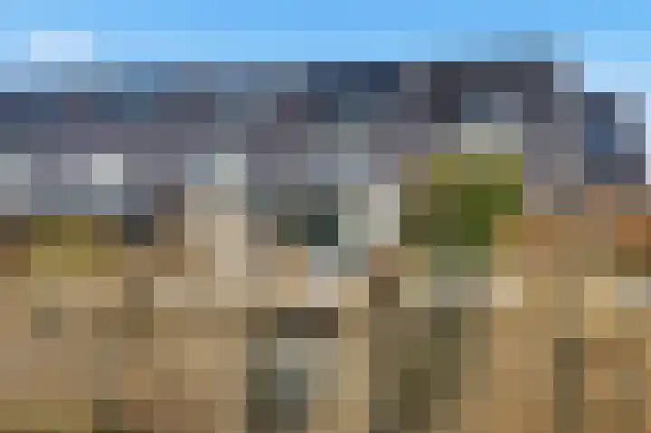 Ossenven 30 Assendelft thumbnail 53