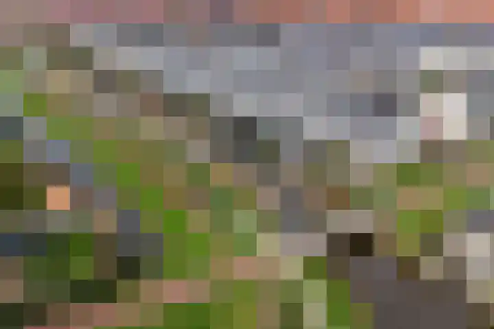 Ossenven 30 Assendelft thumbnail 55
