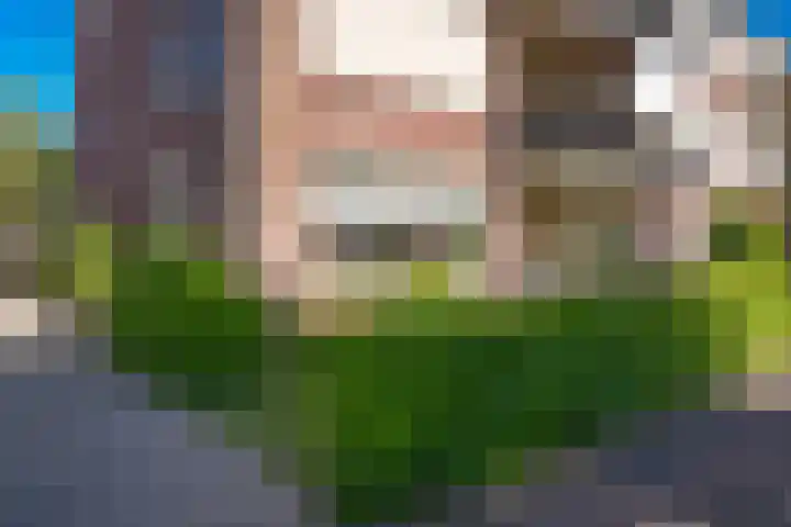 Ossenwaard 20 Wijk en Aalburg thumbnail 30