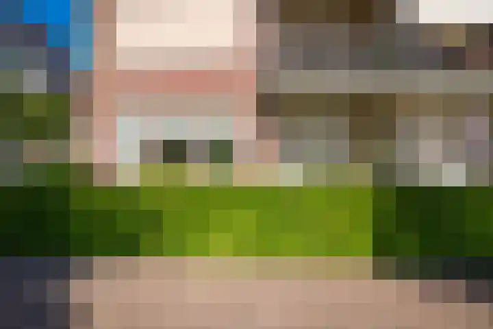 Ossenwaard 20 Wijk en Aalburg thumbnail 32