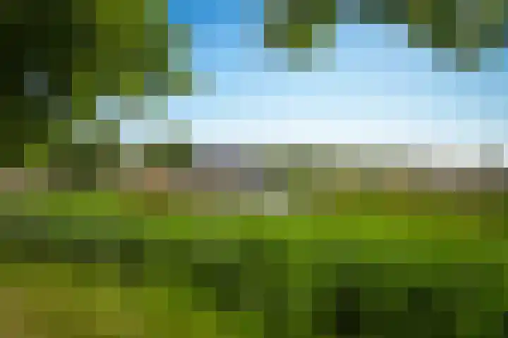 Ossenwaard 20 Wijk en Aalburg thumbnail 35